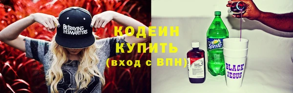 ПСИЛОЦИБИНОВЫЕ ГРИБЫ Горняк