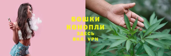 ПСИЛОЦИБИНОВЫЕ ГРИБЫ Горняк