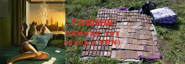 ПСИЛОЦИБИНОВЫЕ ГРИБЫ Горняк