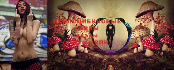 винт Горно-Алтайск