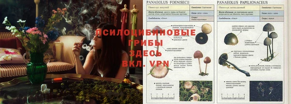 винт Горно-Алтайск