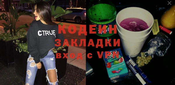 ПСИЛОЦИБИНОВЫЕ ГРИБЫ Горняк