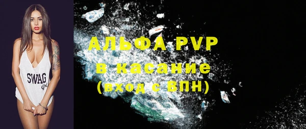 ПСИЛОЦИБИНОВЫЕ ГРИБЫ Горняк