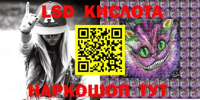 амф Кандалакша