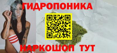амф Кандалакша