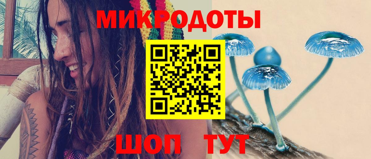 Нальчик  Псилоцибиновые грибы Cubensis  Галлюциногенные грибы Psilocybe  Вход с VPN 